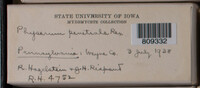 Image Associated With the Occurence